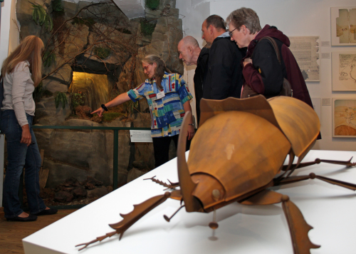 Die Biologische Station - mit Sitz auf dem Schlossgelände - bot Führungen durch die naturkundliche Ausstellung an (Foto: OBK). 