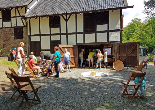 Die historische Getreide- und Sägemühle auf Schloss Homburg. (Foto: OBK)