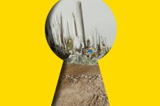 Broken Wood - sammeln und gestalten mit Bruchholz